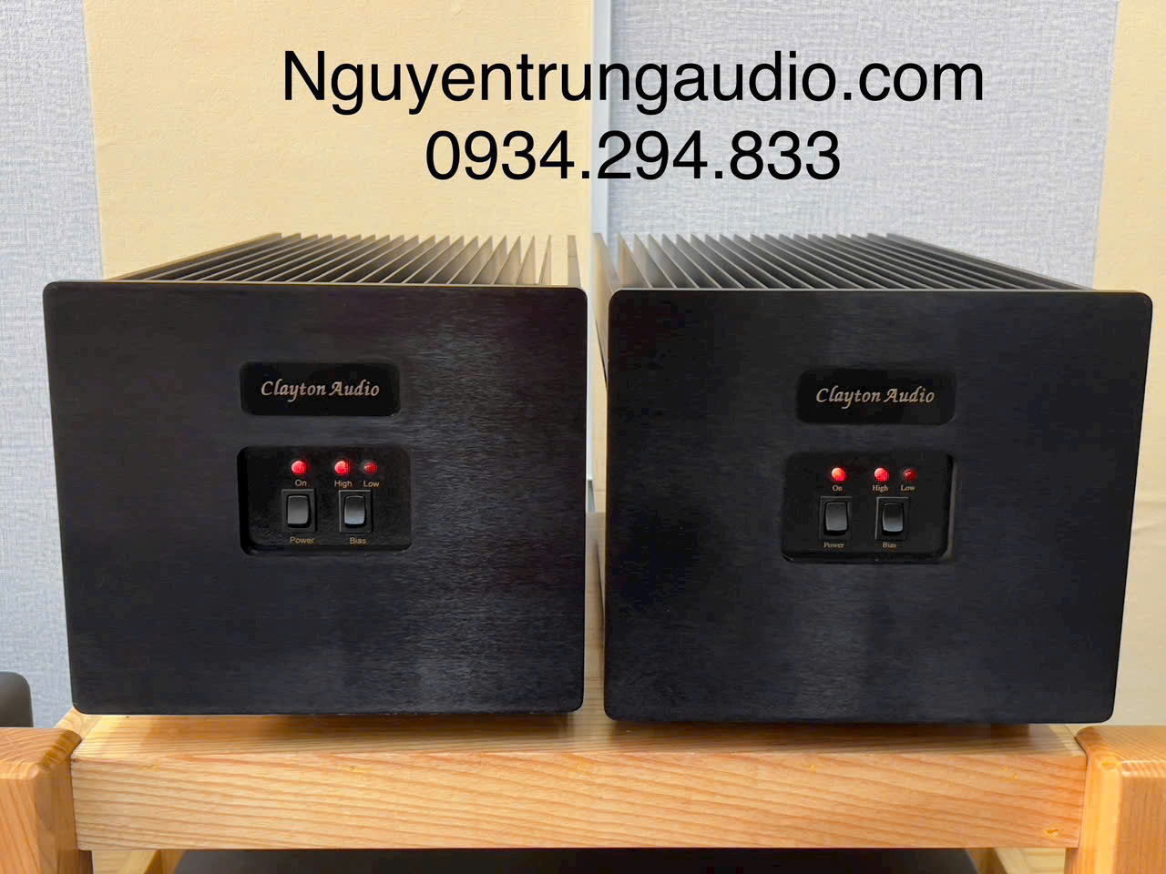 Clayton Audio M-100  class A